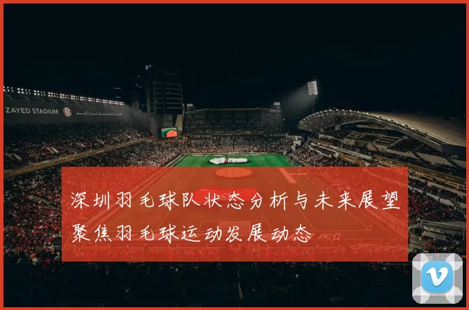 深圳羽毛球队状态分析与未来展望聚焦羽毛球运动发展动态