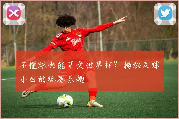 不懂球也能享受世界杯?揭秘足球小白的观赛乐趣