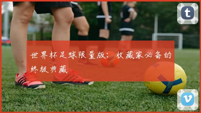 世界杯足球限量版:收藏家必备的终极典藏