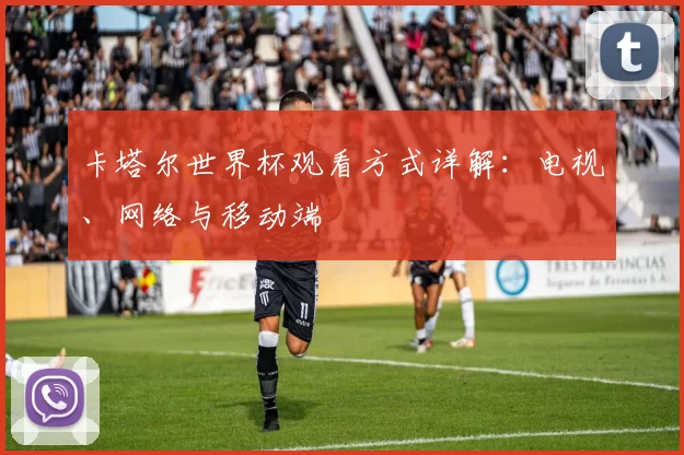 卡塔尔世界杯观看方式详解:电视、网络与移动端