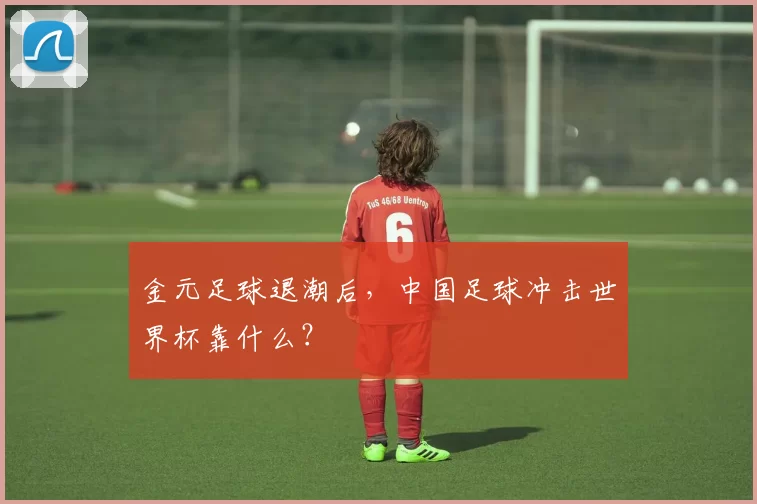 金元足球退潮后,中国足球冲击世界杯靠什么?