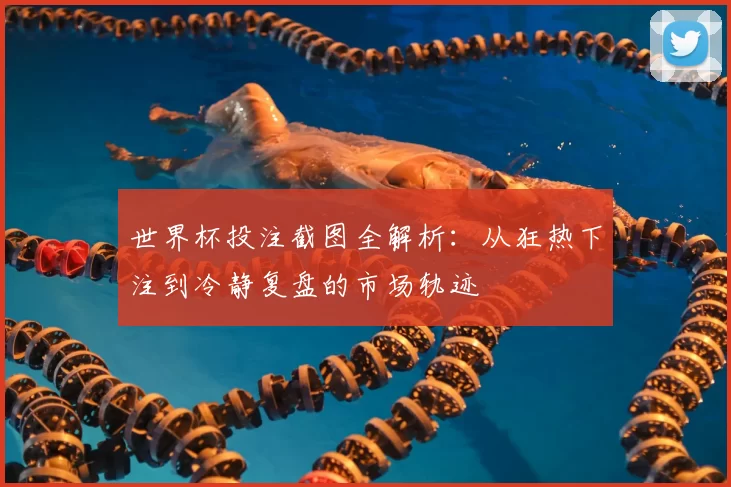 世界杯投注截图全解析：从狂热下注到冷静复盘的市场轨迹
