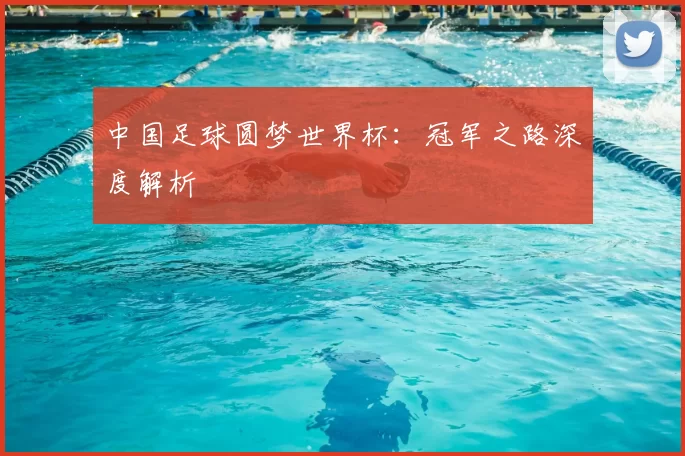 中国足球圆梦世界杯:冠军之路深度解析