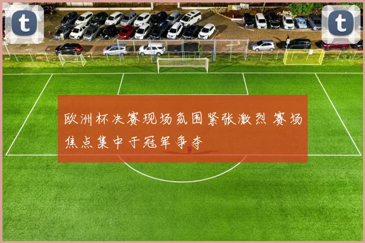 欧洲杯决赛现场氛围紧张激烈 赛场焦点集中于冠军争夺