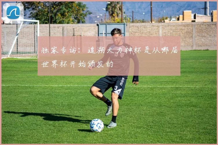 独家专访:追溯大力神杯是从哪届世界杯开始颁发的