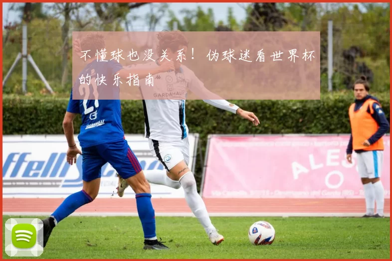 不懂球也没关系!伪球迷看世界杯的快乐指南