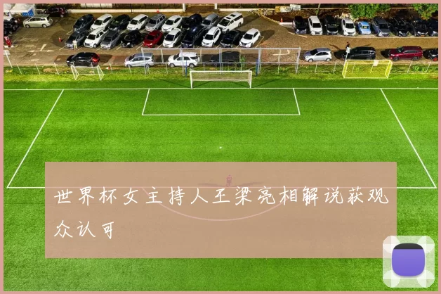 世界杯女主持人王梁亮相解说获观众认可