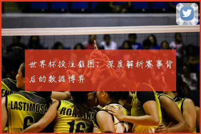 世界杯投注截图：深度解析赛事背后的数据博弈