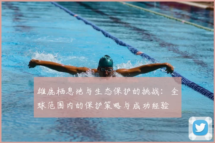 雄鹿栖息地与生态保护的挑战：全球范围内的保护策略与成功经验