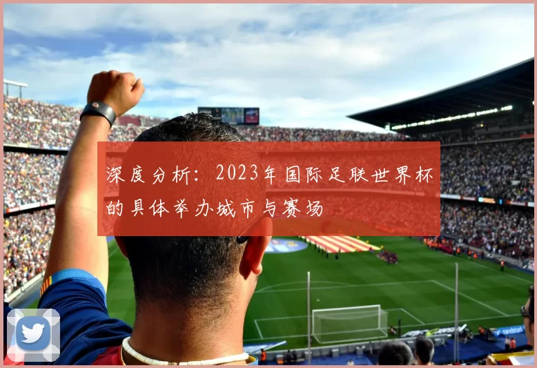 深度分析:2023年国际足联世界杯的具体举办城市与赛场