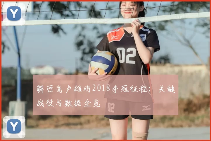 解密高卢雄鸡2018夺冠征程：关键战役与数据全览