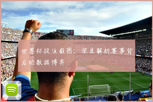 世界杯投注截图:深度解析赛事背后的数据博弈