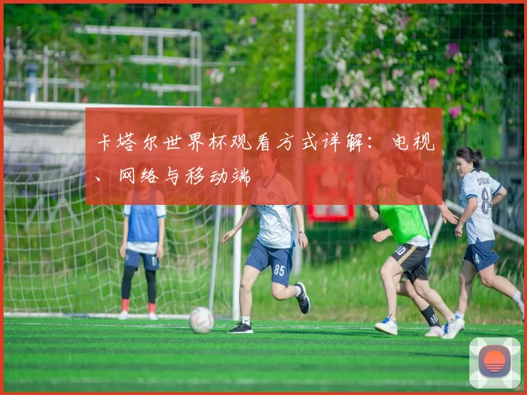 卡塔尔世界杯观看方式详解:电视、网络与移动端