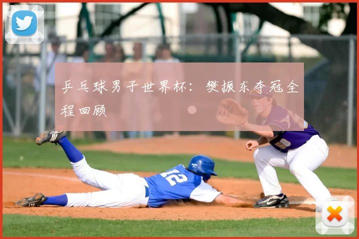 乒乓球男子世界杯：樊振东夺冠全程回顾