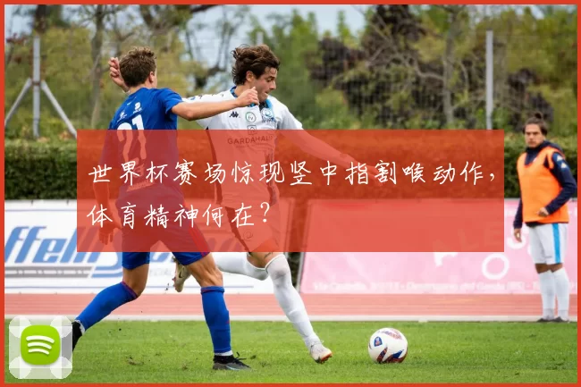 世界杯赛场惊现竖中指割喉动作,体育精神何在?