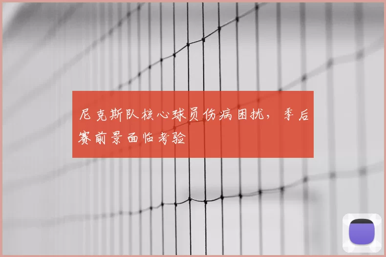 尼克斯队核心球员伤病困扰，季后赛前景面临考验