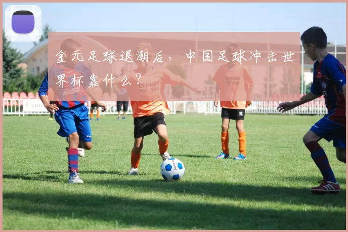金元足球退潮后,中国足球冲击世界杯靠什么?