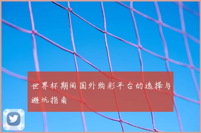世界杯期间国外购彩平台的选择与避坑指南