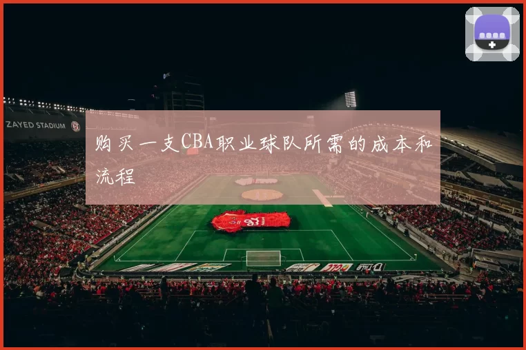 购买一支CBA职业球队所需的成本和流程