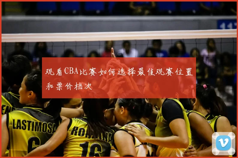 观看CBA比赛如何选择最佳观赛位置和票价档次