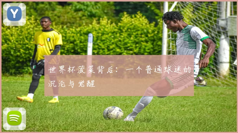 世界杯菠菜背后：一个普通球迷的沉沦与觉醒
