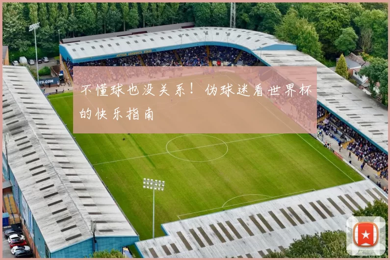 不懂球也没关系！伪球迷看世界杯的快乐指南
