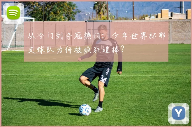 从冷门到夺冠热门：今年世界杯那支球队为何被疯狂追捧？