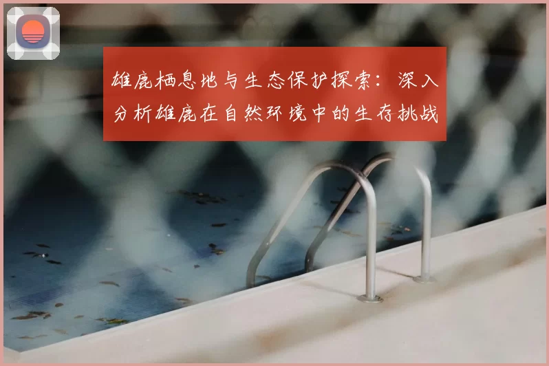 雄鹿栖息地与生态保护探索：深入分析雄鹿在自然环境中的生存挑战与未来展望